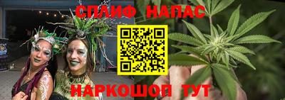 a pvp Будённовск
