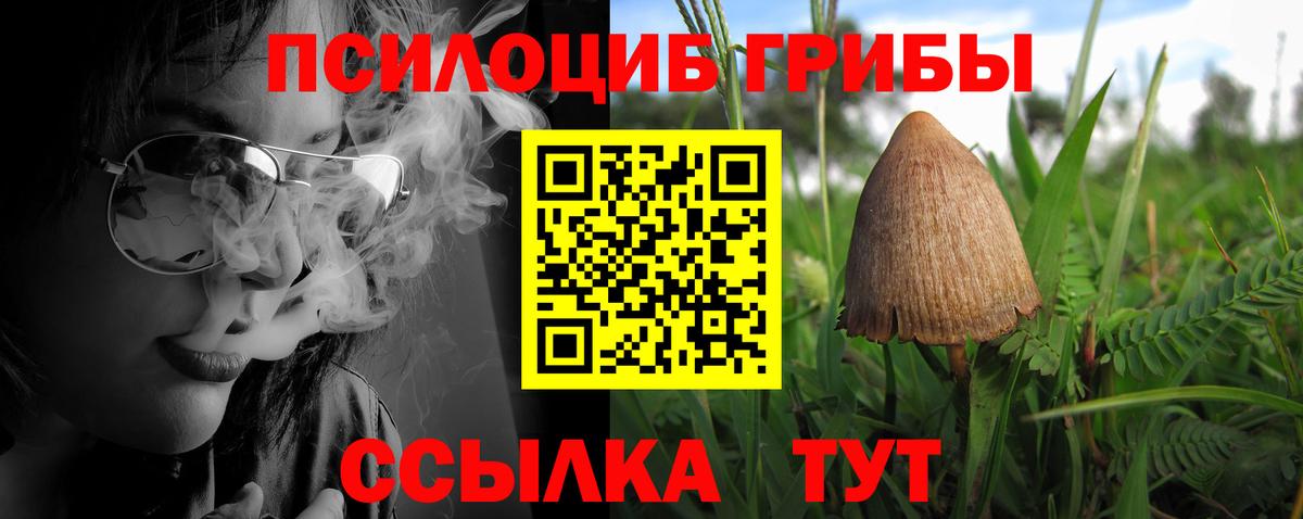 Галлюциногенные грибы GOLDEN TEACHER  Вход с VPN  Кострома 